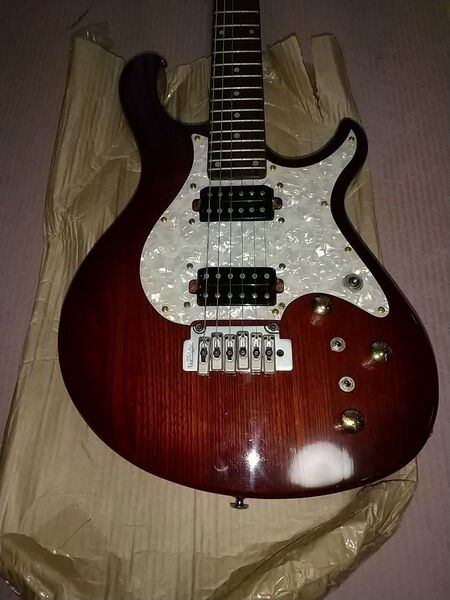 Aria Pro Ⅱ RS450