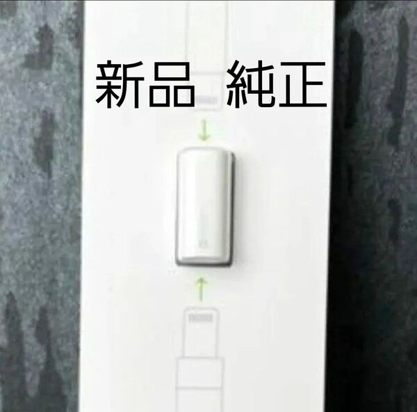 新品 純正 apple pencil アダプタ コネクタ アップルペンシル 付属品 充電 変換器