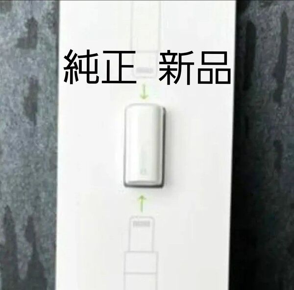 新品 純正 apple pencil アダプタ コネクタ アップルペンシル 付属品 充電 変換器