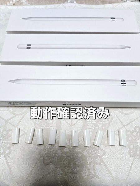 ApplePencil 第1世代 純正 アダプタ10個 コネクタ 空箱 アップルペンシル