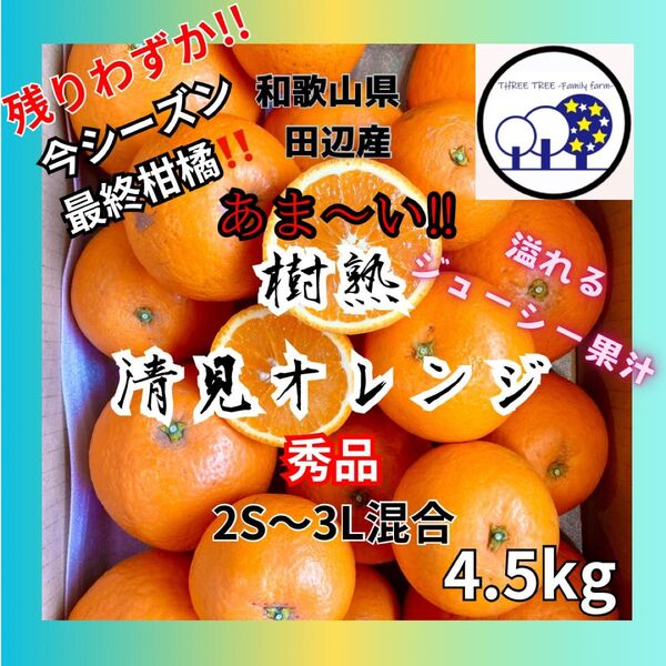 和歌山県田辺産 清見オレンジ きよみ 清美 柑橘 蜜柑 みかん 4.5kg