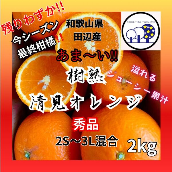 和歌山県田辺産 清見オレンジ きよみ 清美 柑橘 蜜柑 みかん 2kg