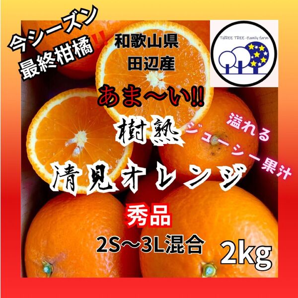和歌山県田辺産 清見オレンジ きよみ 清美 柑橘 蜜柑 みかん 2kg