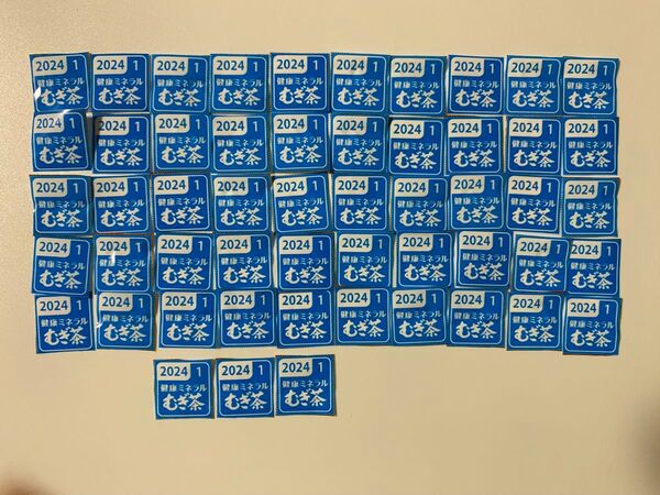 伊藤園健康ミネラルむぎ茶 絶対もらえるキャンペーン応募シール50点+予備3点