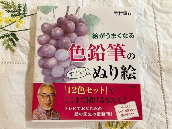 絵がうまくなる色鉛筆のすごい!ぬり絵 野村重存/著