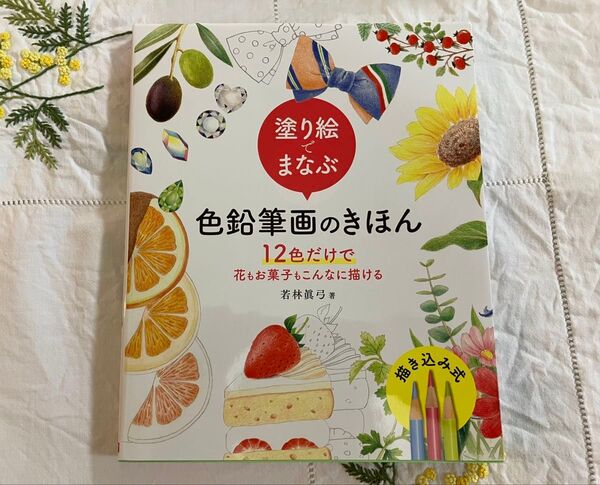 塗り絵でまなぶ色鉛筆画のきほん 12色だけで花もお菓子もこんなに描ける 若林眞弓/著