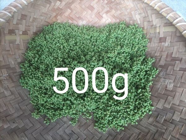 山椒の実500g