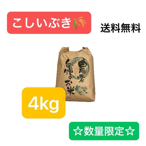 新潟県産 こしいぶき 農家直送 4kg 玄米 5袋限定 令和6年産 1等米