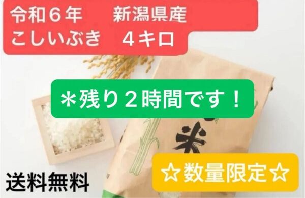 ☆5月限定価格☆ 令和6年産 こしいぶき 米 4kg 新潟県 玄米 農家直送 《数量限定》!!数に限りがあります!