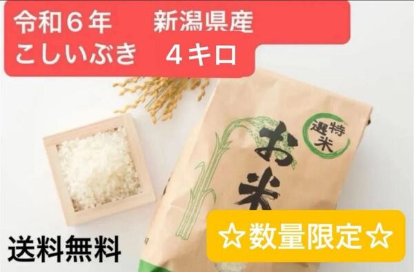 令和6年産 こしいぶき 米 4kg 新潟県 玄米 農家直送 《数量限定》!!数に限りがあります