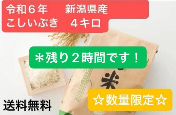 ☆5月限定価格☆ 令和6年産 こしいぶき 米 4kg 新潟県 玄米 農家直送 《数量限定》!!