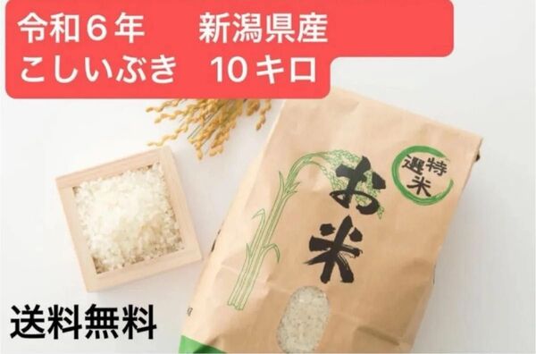 【1等米】令和6年産 新米 こしいぶき 米 10kg 新潟県 安い 生活応援 玄米 送料無料 新潟米 農家直送 《数量限定》
