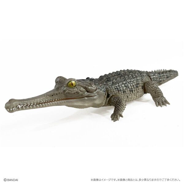 いきもの大図鑑レプティ ワニ ガビアル(ダーク) カプセルトイ ガチャ ミニフィギュア