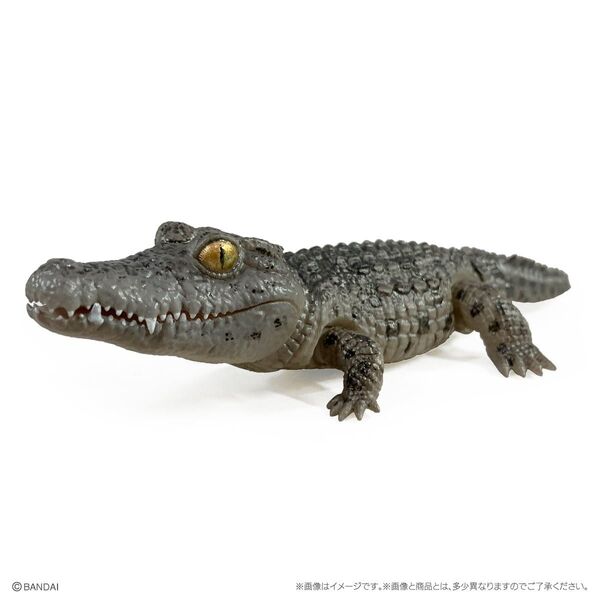 いきもの大図鑑レプティ ワニ ナイルワニ(ダーク) カプセルトイ ガチャ ミニフィギュア