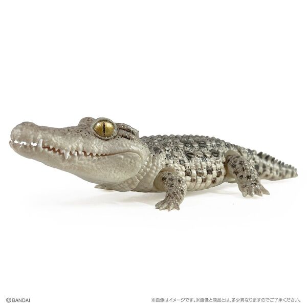 いきもの大図鑑レプティ ワニ ナイルワニ(ライト) カプセルトイ ガチャ ミニフィギュア