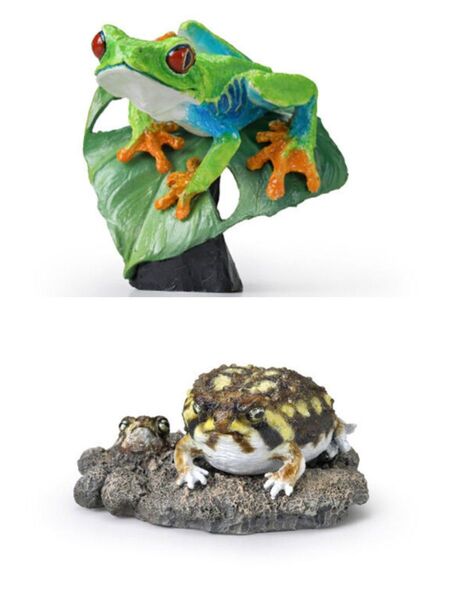 いきもの大図鑑ミニコレクション 両生類02 2個セット アカメアマガエル アメフクラガエル カプセルトイ ガチャ