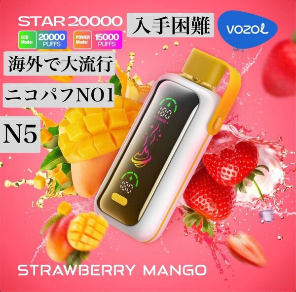 VOZOL 輸入品 20000パフ ニコパフ N5