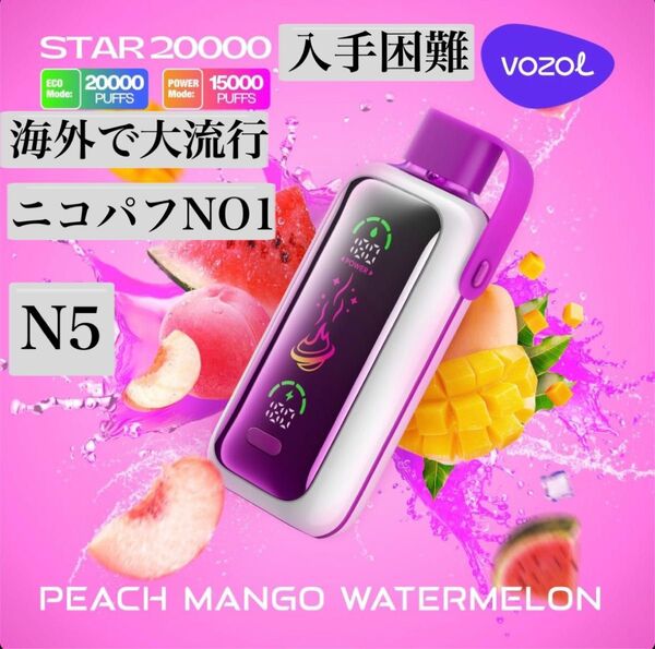 VOZOL 輸入品 20000パフ ニコパフ N5