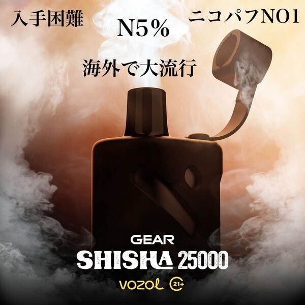 VOZOL 輸入品 25000パフ ニコパフ N5