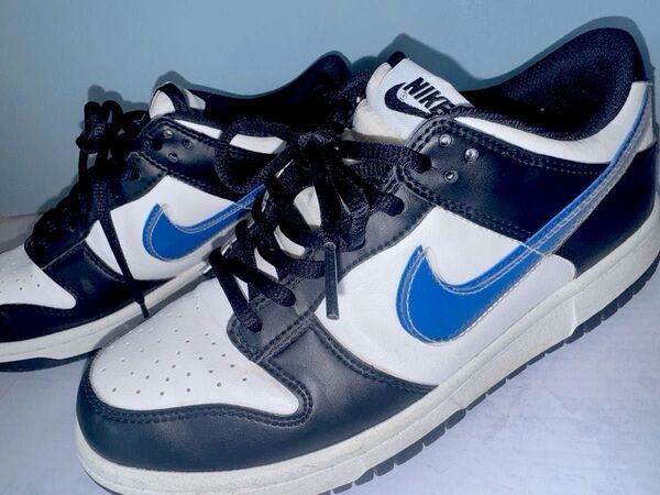 ナイキ Gs DUNKLow 24.5