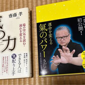 運命を変える氣のパワー 見るだけで不思議な力が身につくDVD付 さだじぃ。 気の力 気功 ヒーリング エネルギー