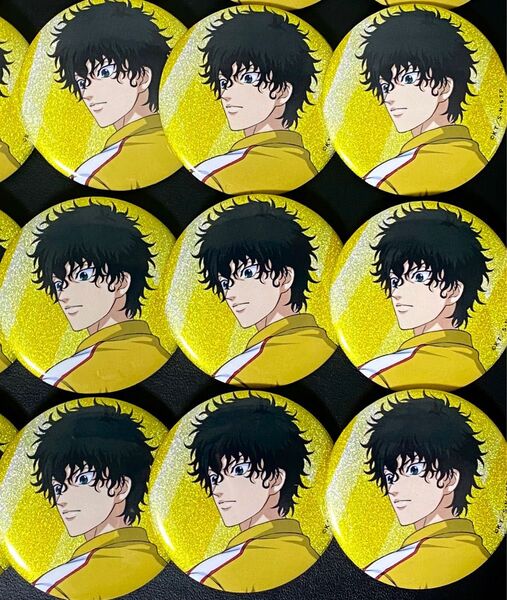 新テニスの王子様 テニプリ JF ジャンプフェスタ ジャンフェス 中外 中外鉱業 VSグリッター缶バッジ 切原赤也 9個