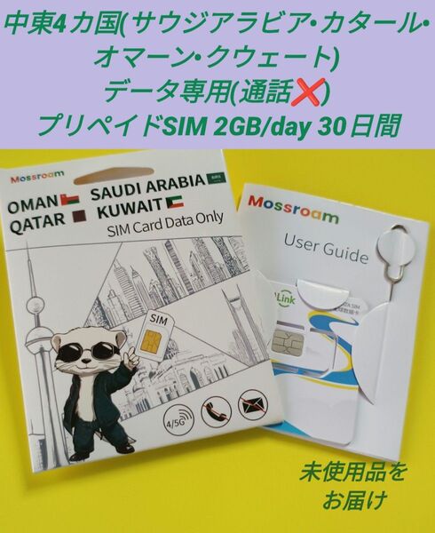 データ専用プリペイドSIM(物理SIM) 2GB/日 30日間 中東4カ国対応 nano/micro/標準/全てのSIM形状に対応