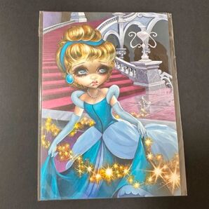【レア】フロリダディズニーワールド限定 プリンセスポストカード 魔女Disney World Florida