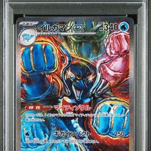 PSA10 イルカマンex SAR テラスタルフェスex 207/187