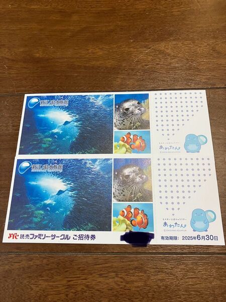 新江ノ島水族館 ご招待券 2枚