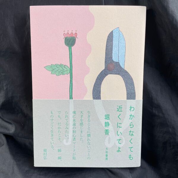 わからなくても近くにいてよ 堀静香/著
