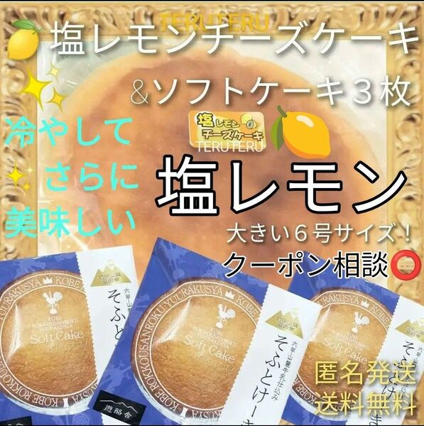 工場直売 品 クーポン◎アウトレット◯塩レモンチーズケーキ 6号1個 大きいサイズ◯そふとけーき3枚◯大阪前田製菓☆訳ありケーキ