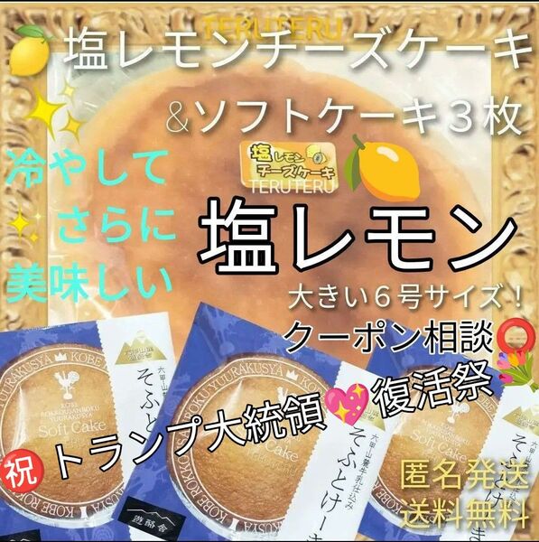 工場直売 品 クーポン◎アウトレット◯塩レモンチーズケーキ 6号1個 大きいサイズ◯そふとけーき3枚◯大阪前田製菓☆訳ありケーキ