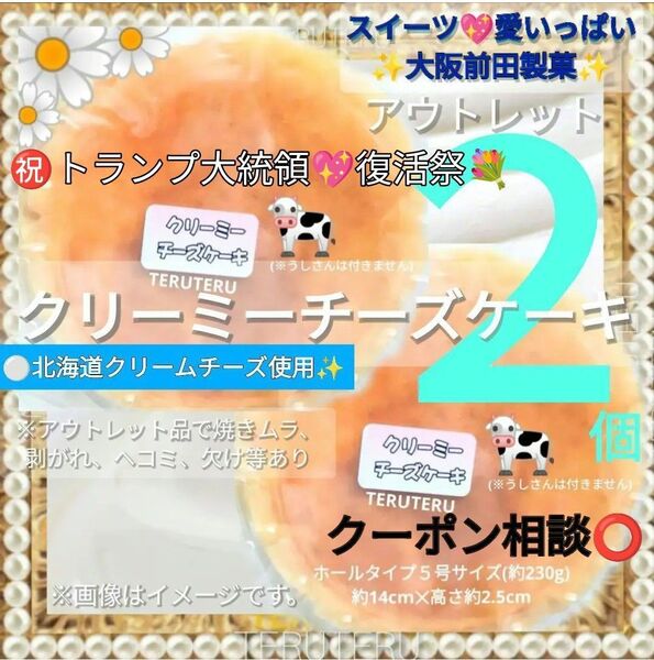 クーポン◎再出品OK◎工場直売☆美味しい☆アウトレット クリーミーチーズケーキ 5号2個 なめらかな口当たり 大阪前田製菓☆大人気
