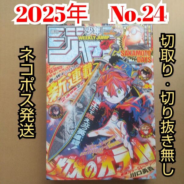 週刊少年ジャンプ 24号(2025年5月26日号)切取り・切り抜きなし完品 灯火のオルテ
