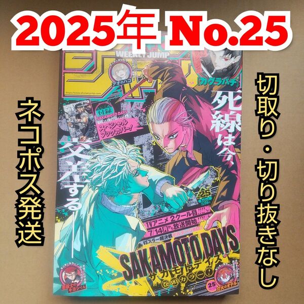 週刊少年ジャンプ 25号(2025年6月2日号)切取り・切り抜きなし完品 サカモトデイズ