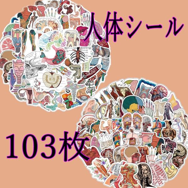 人体 シール 103枚セット ステッカー 臓器 内臓 骨格 心臓 脳 筋肉 眼球 神経