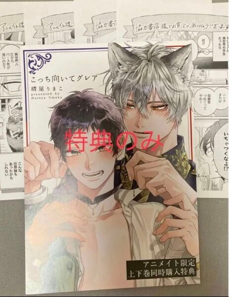 アニメイト限定特典購入特典 こっち向いてグレア 晴屋うまこ先生