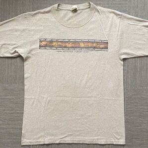 ★90s USA製 ECO MOUNTAIN ワイルドTシャツ L 化石 森 ヴィンテージ