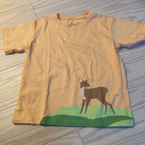 無印良品 動物 Tシャツ キッズ 130㎝ 未使用