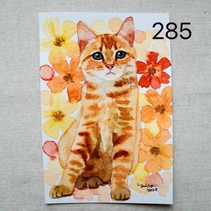 猫の絵 285 水彩画 原画 茶トラ猫 ポストカードサイズ