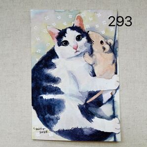 猫の絵 293 水彩画 原画 ハチワレ 子猫 ポストカードサイズ