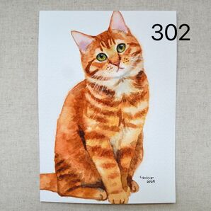 猫の絵 302 水彩画 原画 茶トラ 2L判