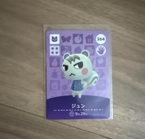 アミーボカード amiiboカード ジュン あつまれどうぶつの森