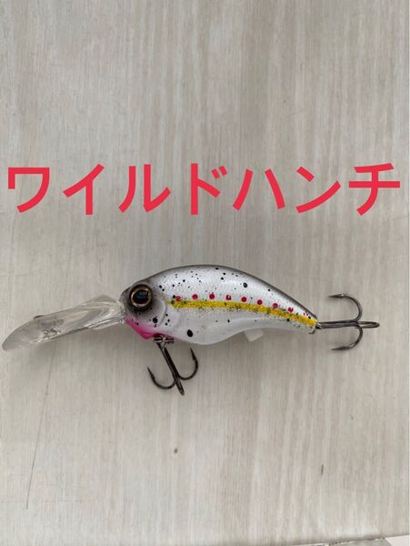 エバーグリーン ワイルドハンチ