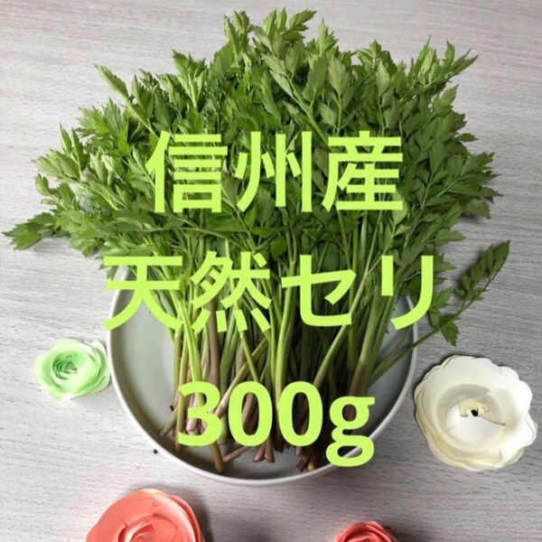 天然 信州産セリ 山菜