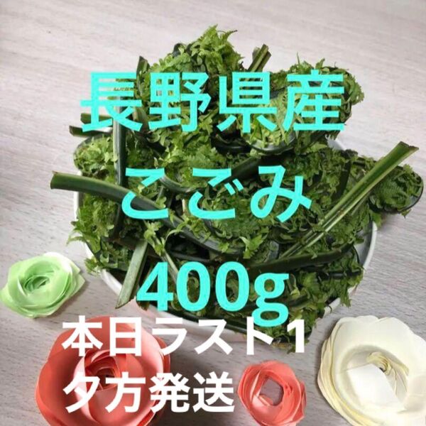 信州産 天然 こごみ 朝取り 400g
