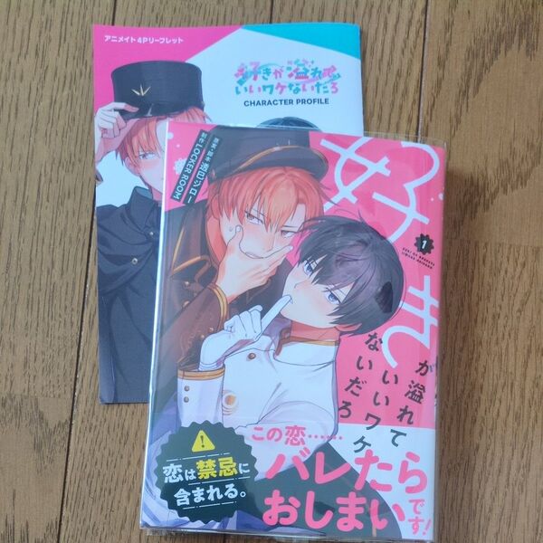 好きが溢れていいワケないだろ アニメイト特典付き