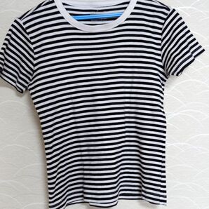 ボーダー柄Tシャツ レディース Lサイズ