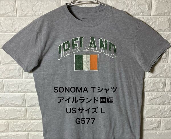 USA アメリカ古着 SONOMA アイルランド国旗 半袖Tシャツ USサイズL グレー IRELAND ソノマ フロントプリント